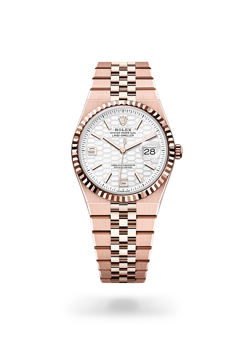 Rolex Land-Dweller in 18 kt Everose gold, M127235-0001 - Lenox Jewelers
