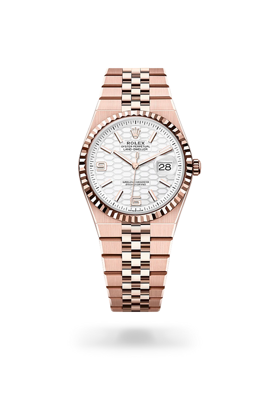 rolex Land-Dweller in 18 kt Everose gold, M127235-0001 - Lenox Jewelers