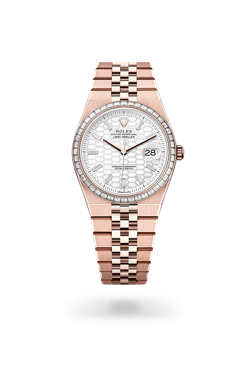 Rolex Land-Dweller in 18 kt Everose gold, M127285TBR-0002 - Lenox Jewelers