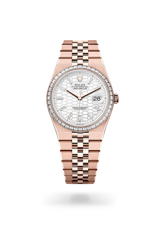 rolex Land-Dweller in 18 kt Everose gold, M127285TBR-0002 - Lenox Jewelers