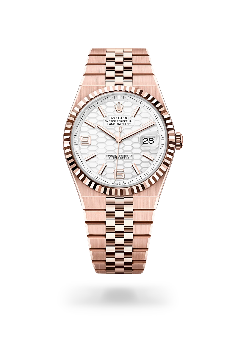 Rolex Land-Dweller in 18 kt Everose gold, M127335-0001 - Lenox Jewelers