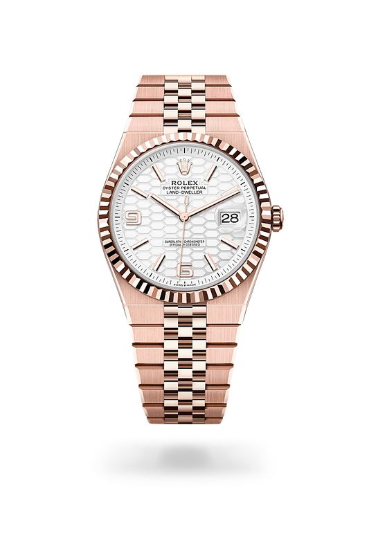 rolex Land-Dweller in 18 kt Everose gold, M127335-0001 - Lenox Jewelers