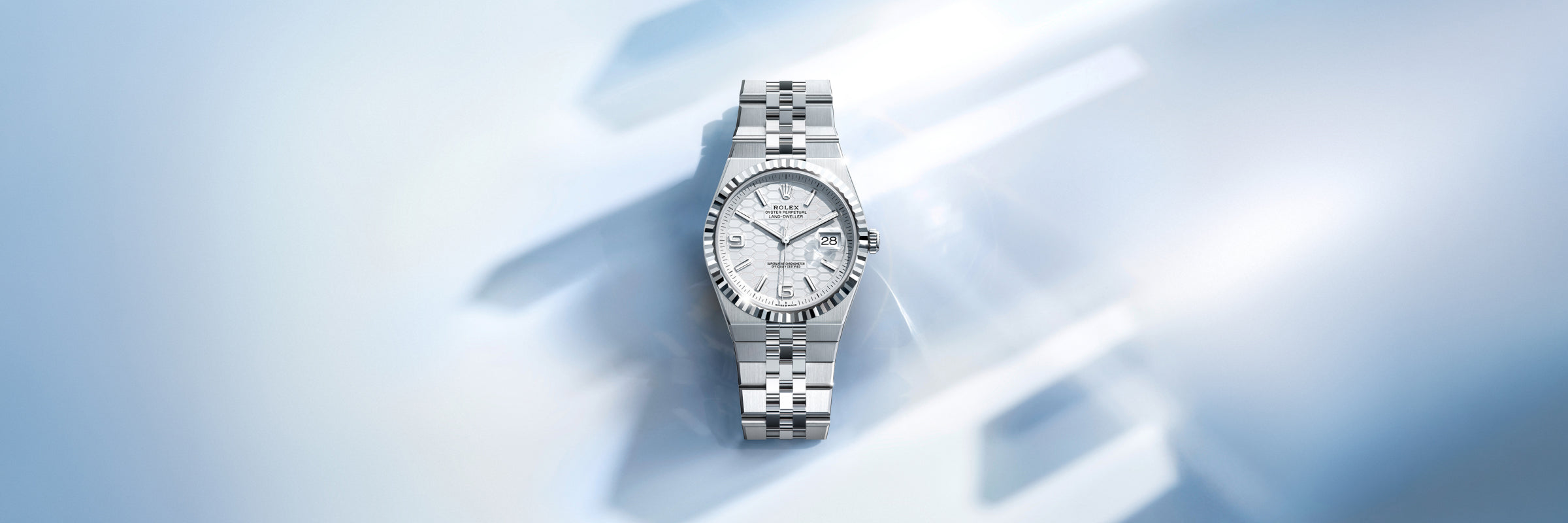 Rolex Land-Dweller in Platinum, M127386TBR-0001 - Lenox Jewelers