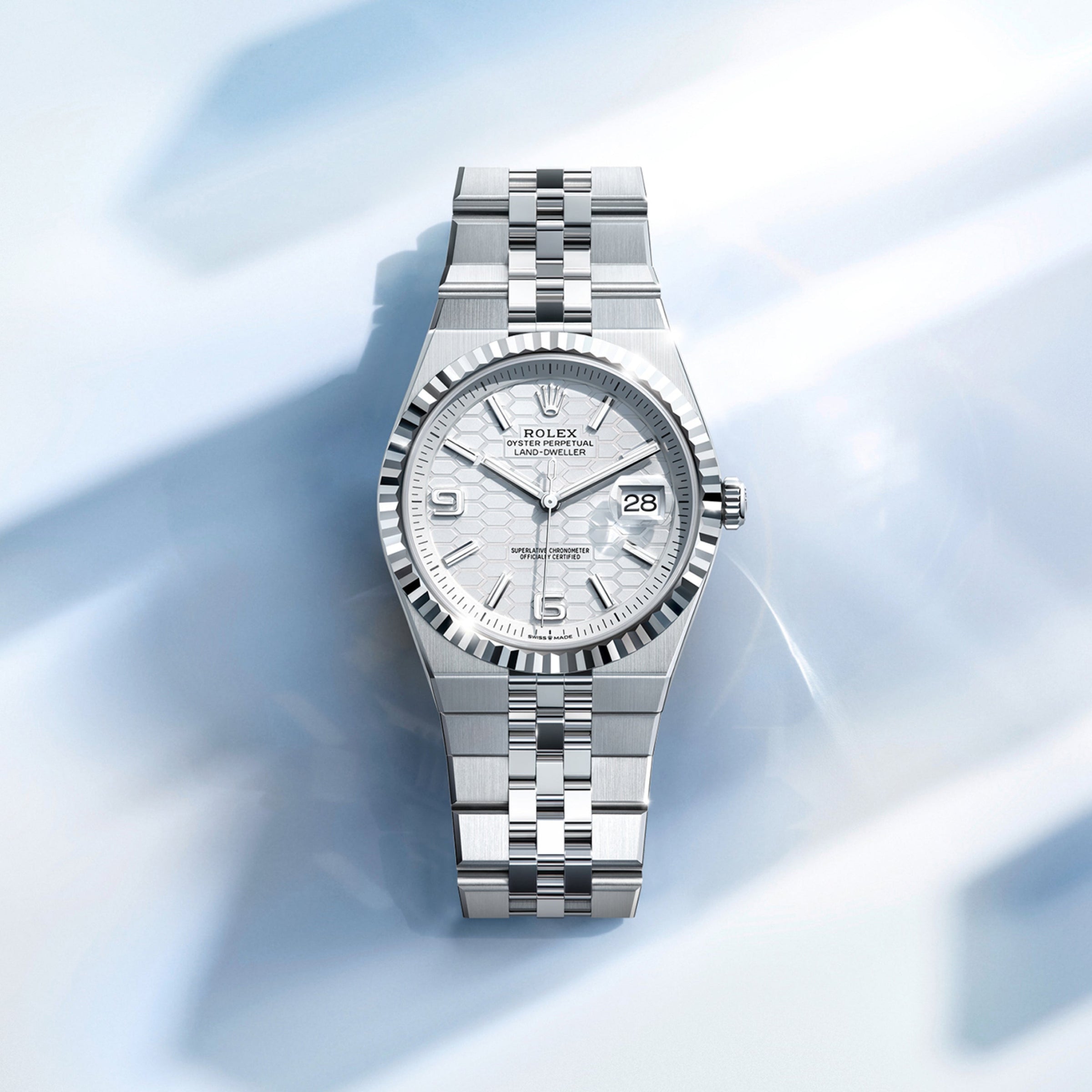 Rolex Land-Dweller in Platinum, M127386TBR-0001 - Lenox Jewelers