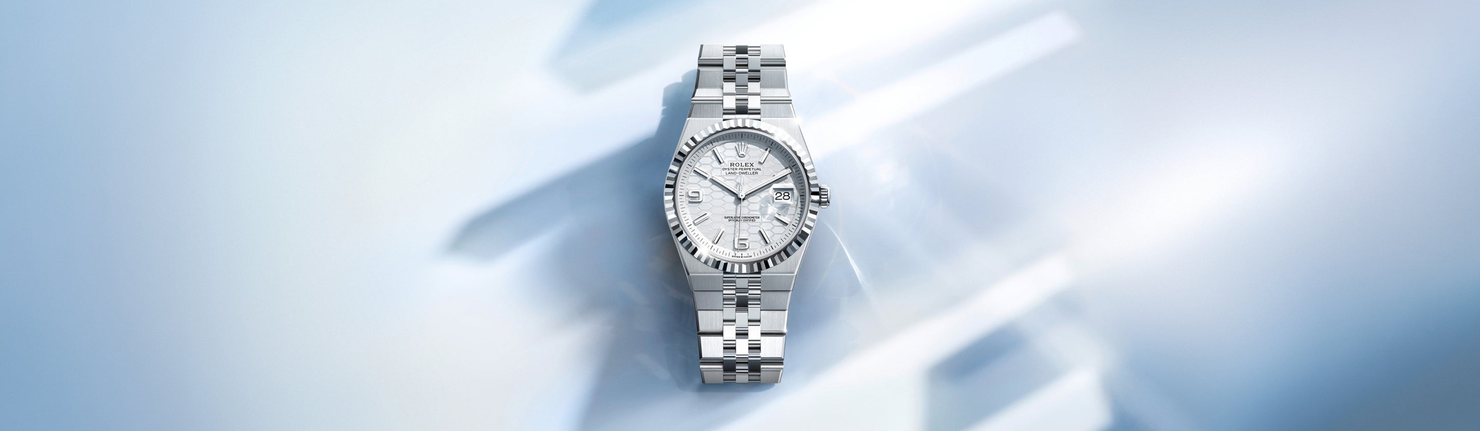 Rolex Land-Dweller watches - Lenox Jewelers
