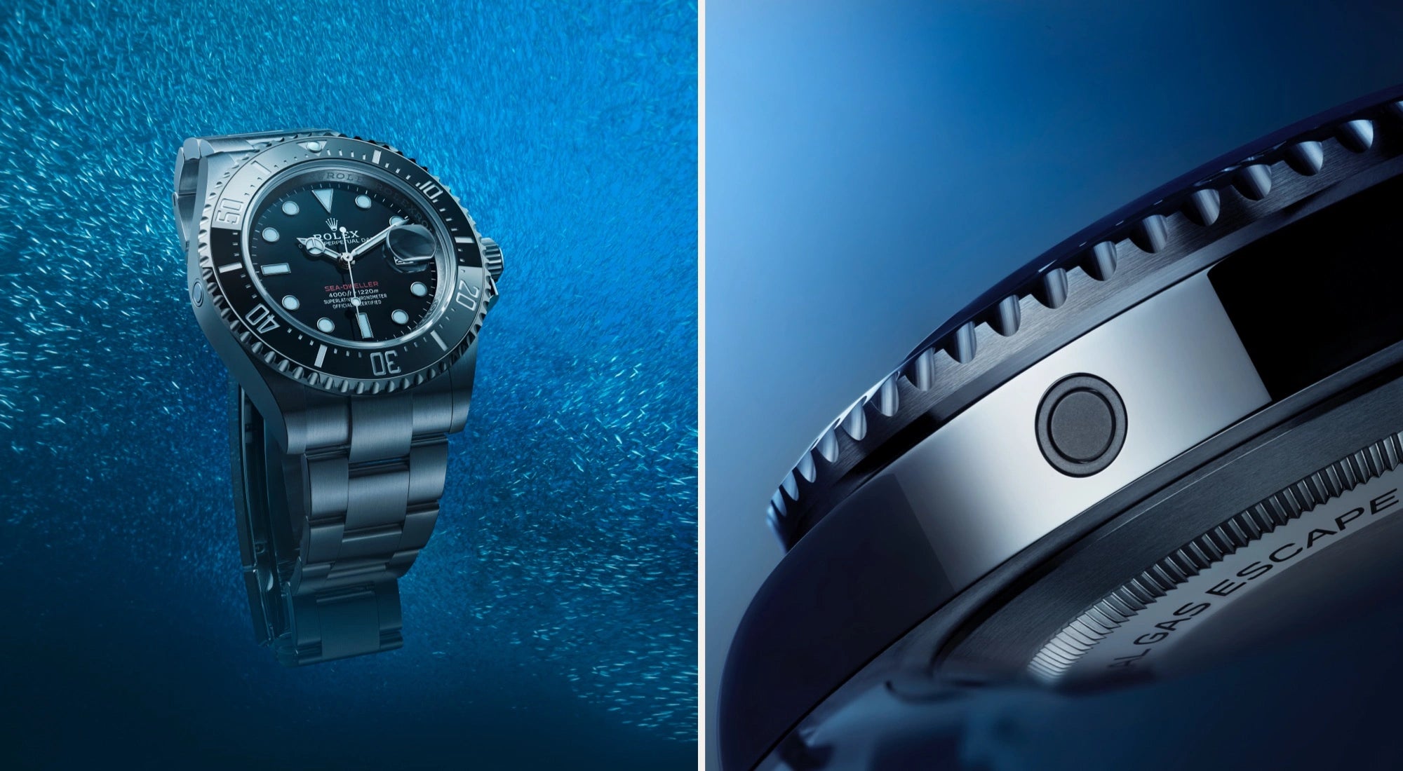 Rolex Sea-Dweller watches - Lenox Jewelers