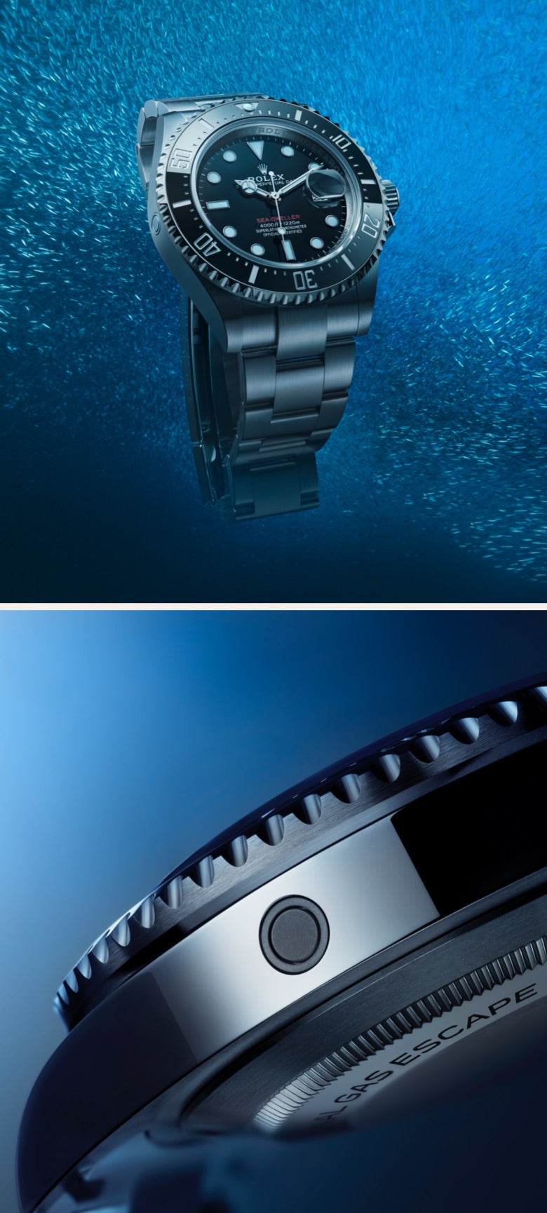 Rolex Sea-Dweller watches - Lenox Jewelers