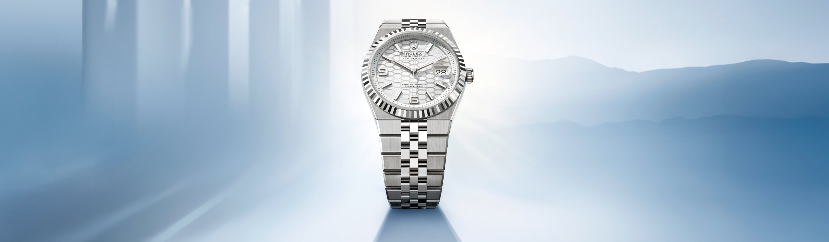 Rolex Land-Dweller watches - Lenox Jewelers
