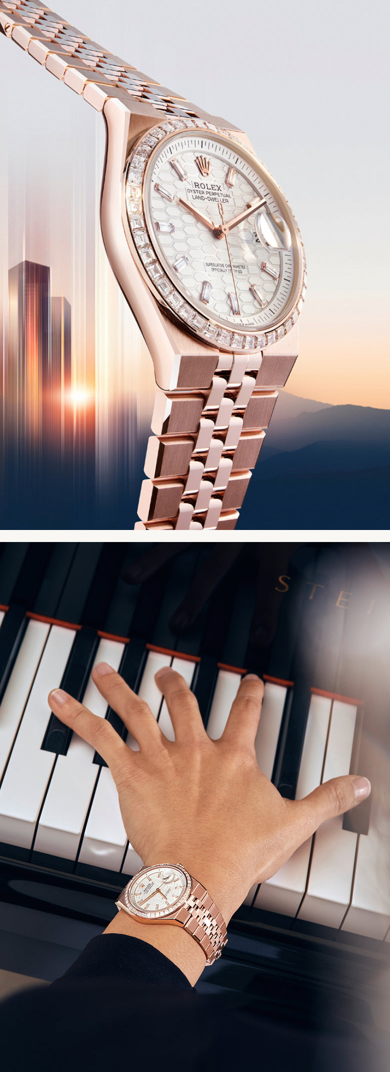 Rolex Land-Dweller watches - Lenox Jewelers