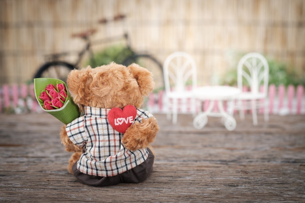 valentines day bear