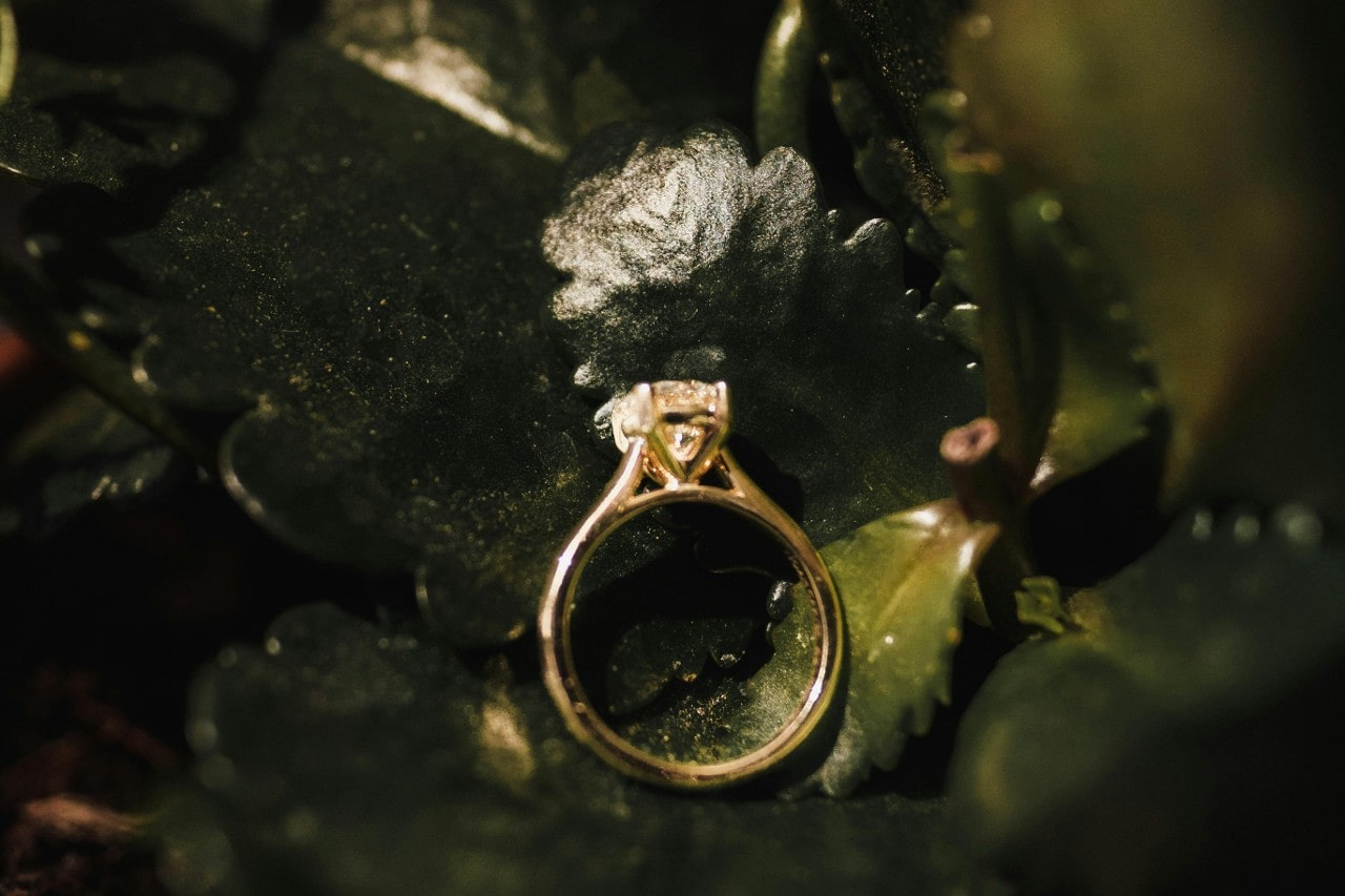a vintage engagement ring with a gold band on a bed of green leaves